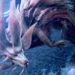 ฉลองครบรอบ 1 เดือน Monster Hunter Wilds Free Title Update 1 นำโดย Mizutsune